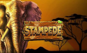 Stampede